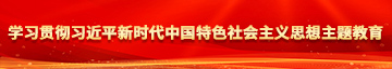 操操你操操她学习贯彻习近平新时代中国特色社会主义思想主题教育